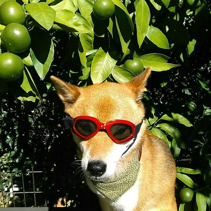 39bddda0 9715 491e 89f1 4bf16d418c00 1534926313706