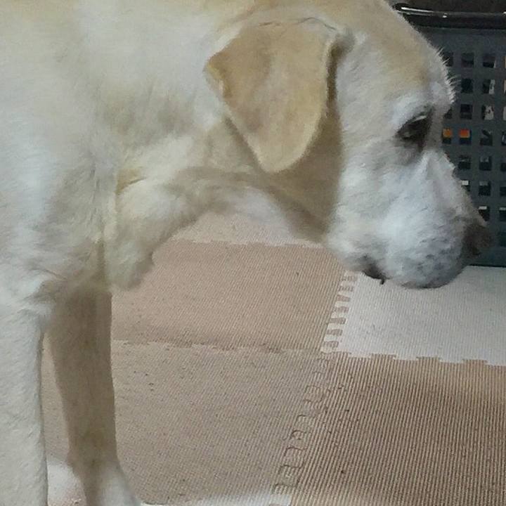 39be1972 4bfa 42fa 8a05 2218d2b32576 1562046850248