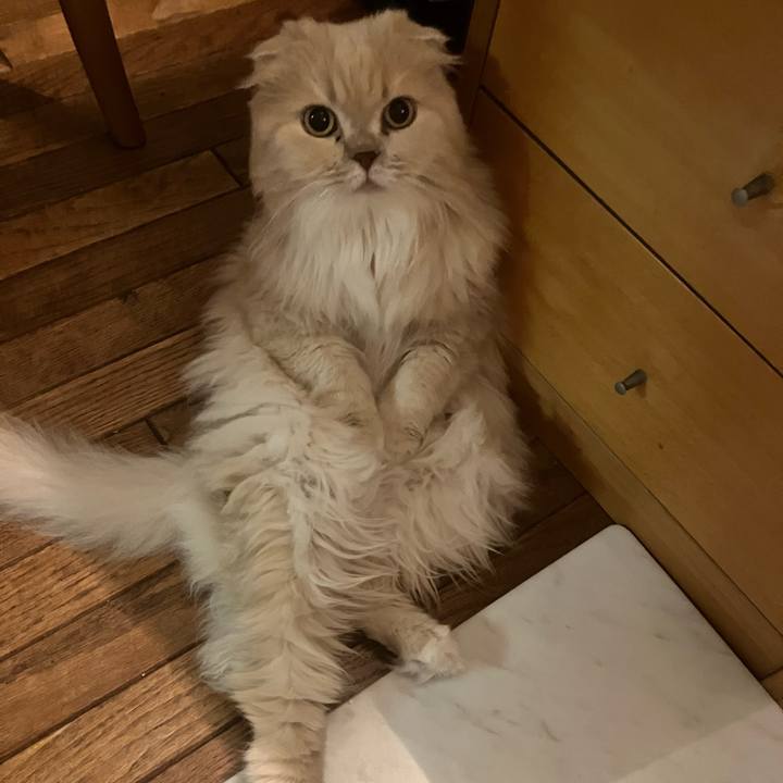 39be2906 a53c 4447 9902 6232b14aa553 1769851892772