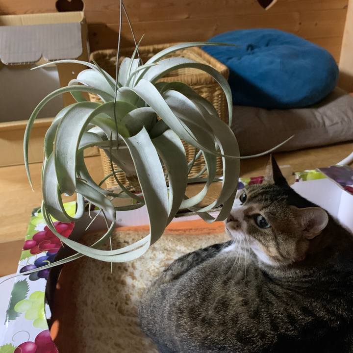 39be6080 6ecf 488d 9921 ddcab8fa39f1 1664981009029