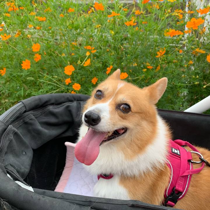 39bf25c7 aa22 4538 b3bc e3b33e21ba7a 1630191431418