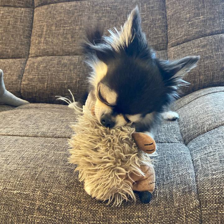 39bf2981 4dc4 4a70 a944 7c1d5d1695b6 1716115548667