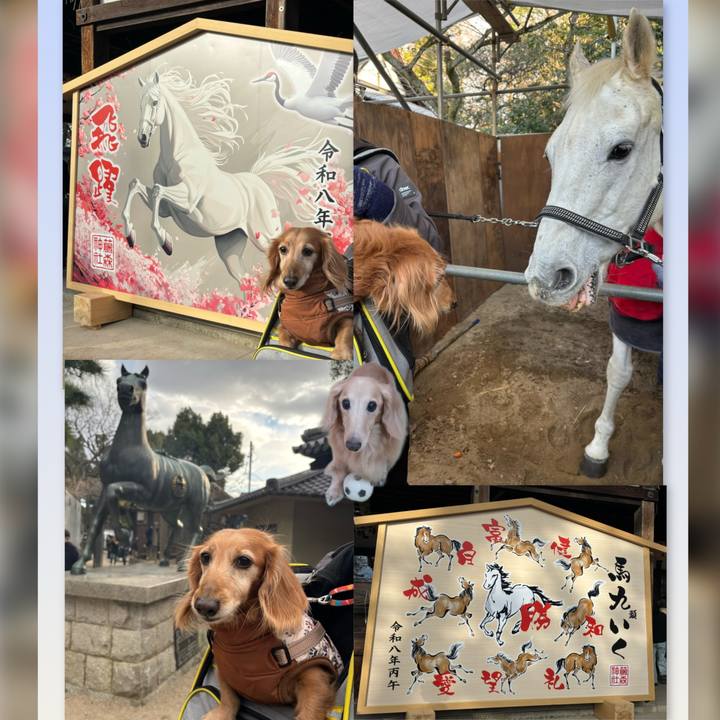 39bf3e20 230b 4f88 b969 9146f2adeced 1767516946665