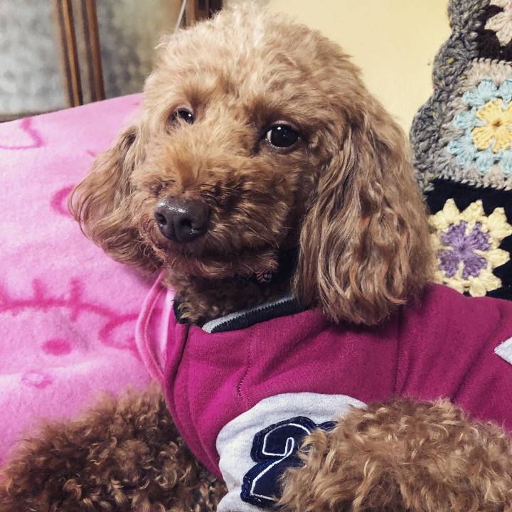 39bf5675 2242 4ffc 9baa 70db803d1f1a 1581729090607