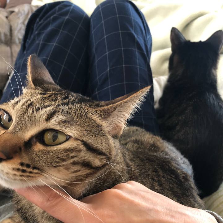 39bf58b8 a3a7 4cfc b340 20343589ea13 1556225843588