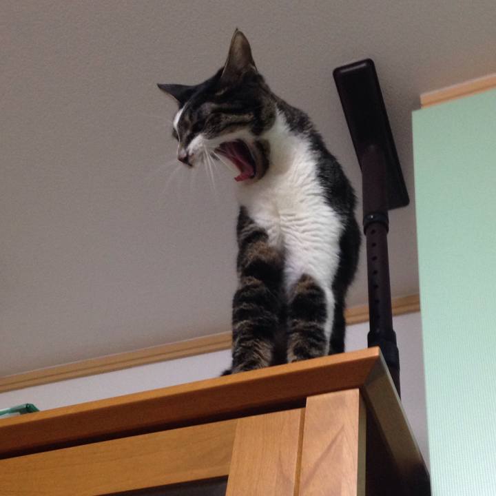 39bf5d83 0590 48f2 9bec 5cd84d8022fe 1511262883815