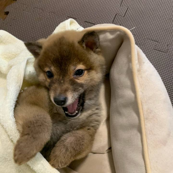 39bf6de9 21fa 4f81 8993 cc794e028c95 1615866094762