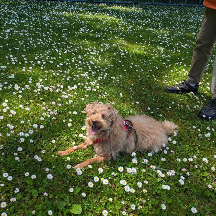 39bf7c8e db27 42b4 be6b 8770c95ebe21 1717997565558