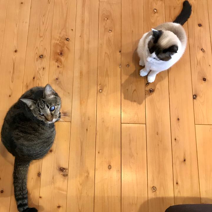 39bf8da7 316a 4c67 b909 52d44b09b69b 1582245690566