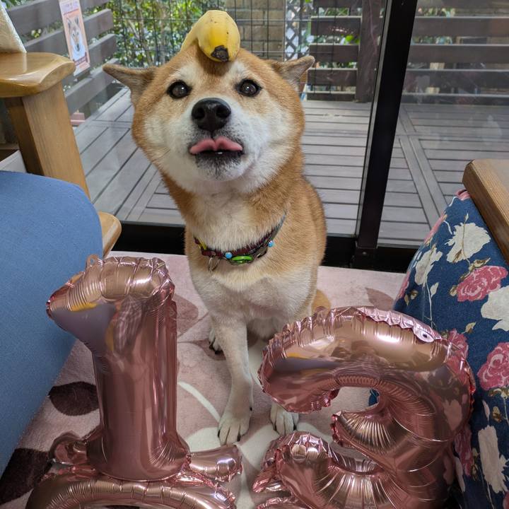 39bf95c9 8448 4af5 83ff 9126fa5b1a83 1765234446019