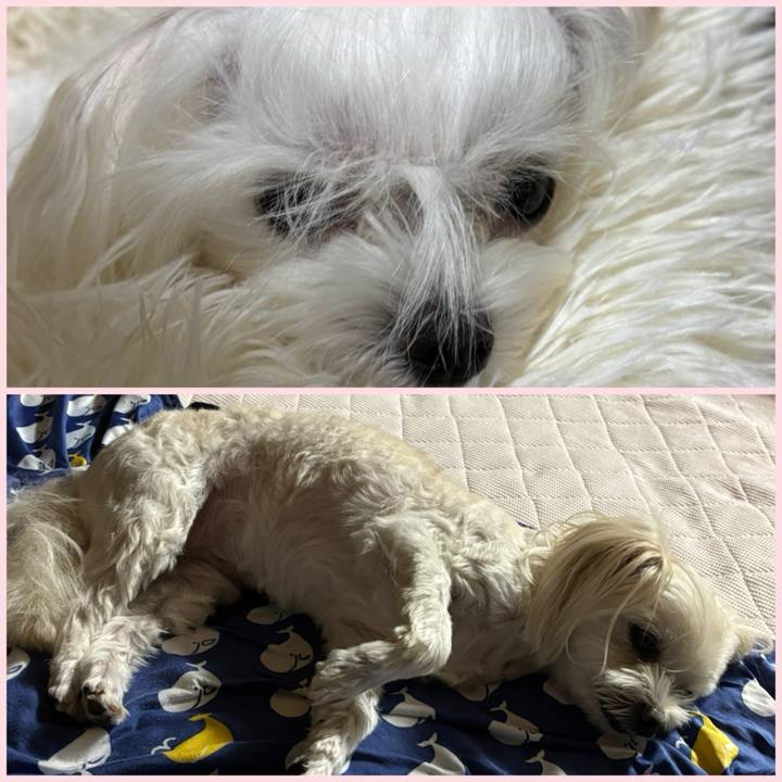 39bf9bc6 8ba9 4800 8924 2594a42f8efa 1757246830414