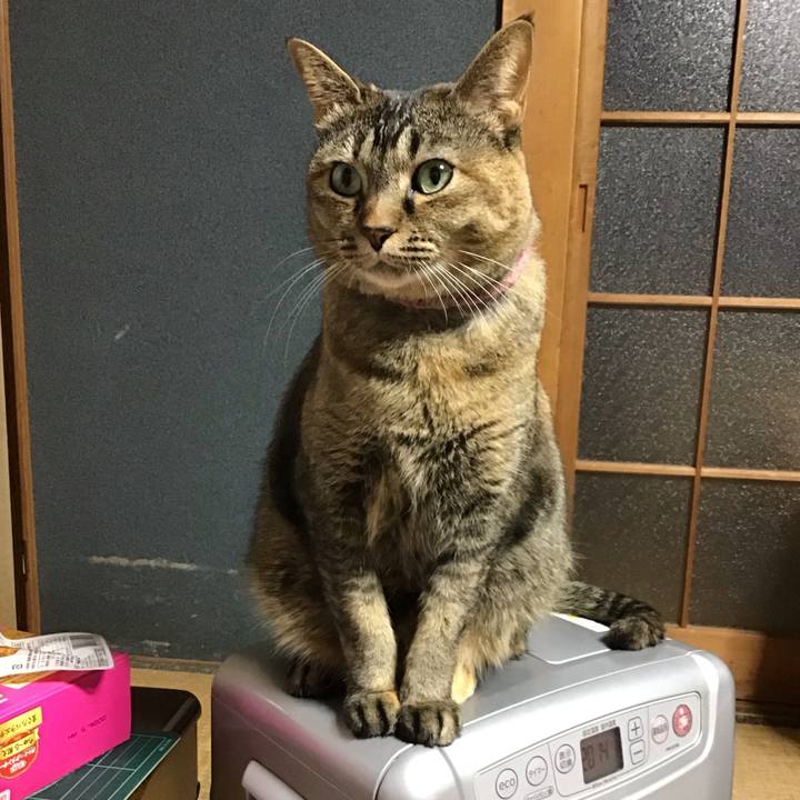 39bfc3e5 536a 46c7 a2d2 212511702b5a 1735984066037