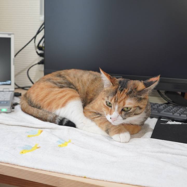 39bfdf0c 3094 4ca8 9bc8 b6d5d4bae249 1599109625382