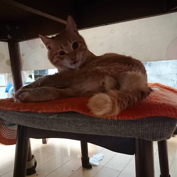 39c01873 0d12 4658 9787 f2863b98f46c 1639011951095