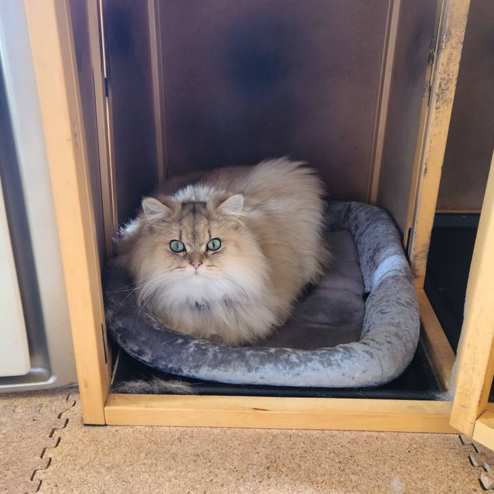 39c01d90 afdd 44ee b948 670a81097f98 1642037075619