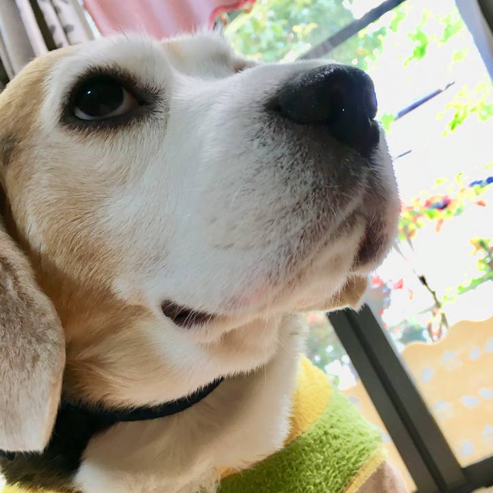 39c0449d 6fdc 418b 86a8 60474b505557 1556434411989