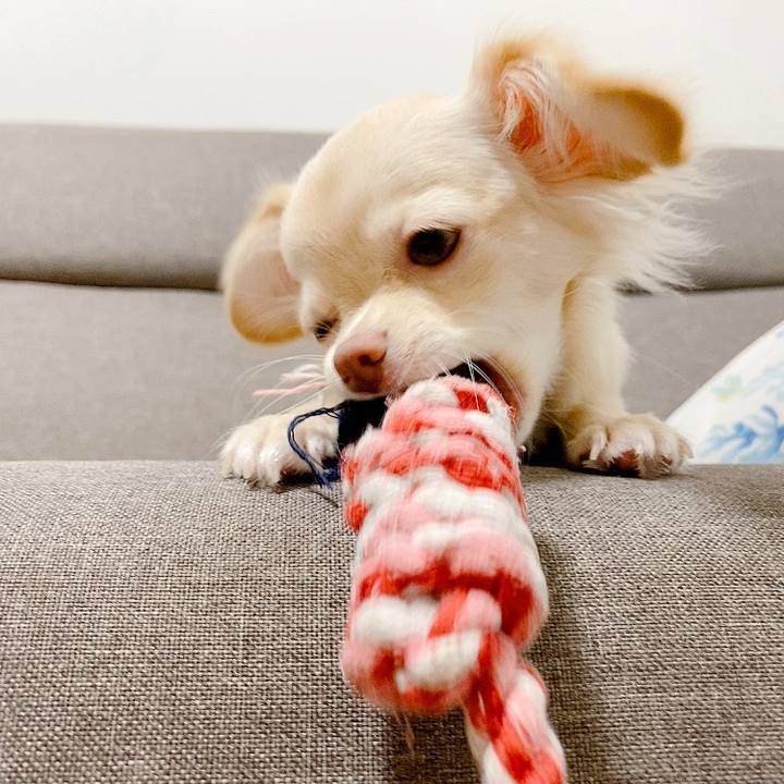 39c0d232 4ce7 4068 a2f4 f8a350d5d599 1597320729479