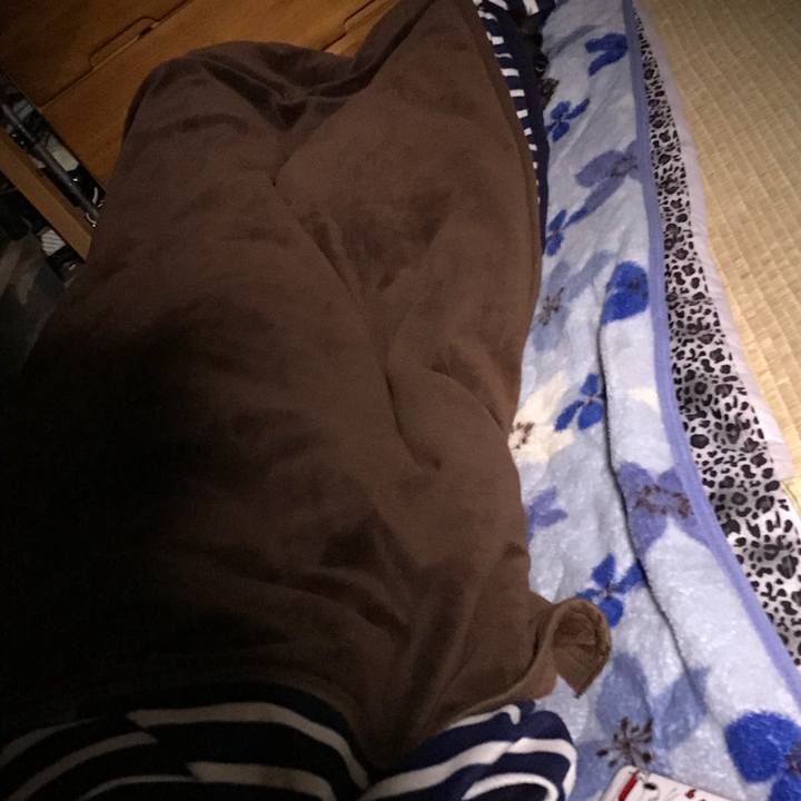 39c1361f bf7f 4e3f ade2 2ee682a6923a 1518192307195