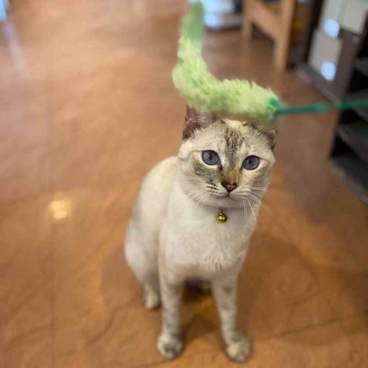 39c13f12 a91a 42a0 9c03 57e4cffeb6fb 1660296478948