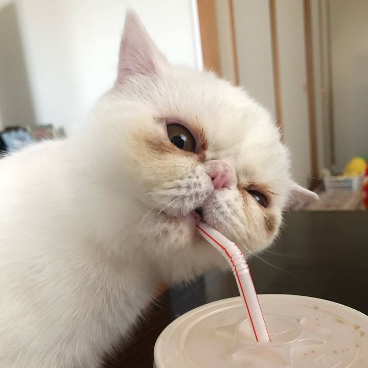 39c16a29 7628 4ebf bd2a 35924bda6065 1557040071515