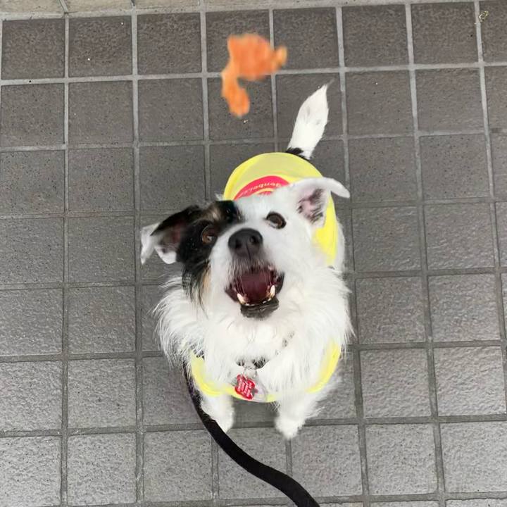 39c1b67a bc0d 4a7d a880 f77a508b62cd 1682296914606