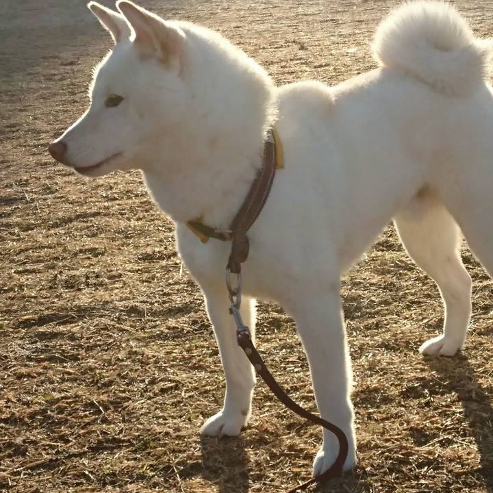 39c22a55 6619 4c56 bc90 df5a5e19c78b 1548385029802