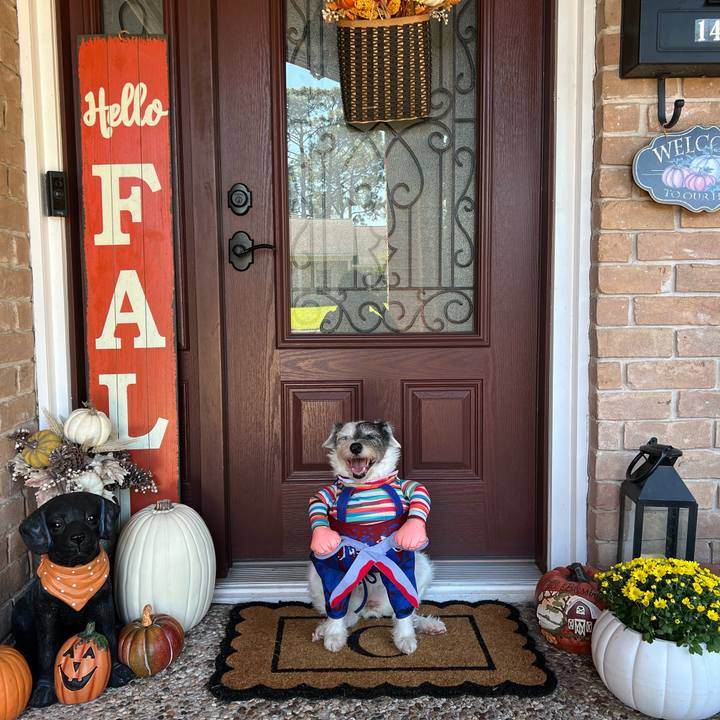 39c2451a b4fa 481a 8b2b ecde2214c10d 1730325685851