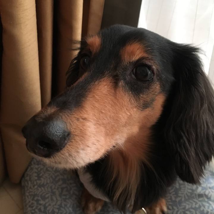 39c26257 ad16 4a60 831f fcbf7360299b 1523177600618