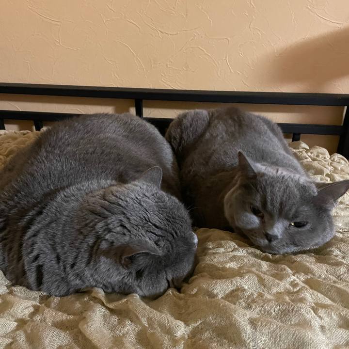 39c2766f 2fa5 4dc8 b82b a5f2724cb23a 1773477490571