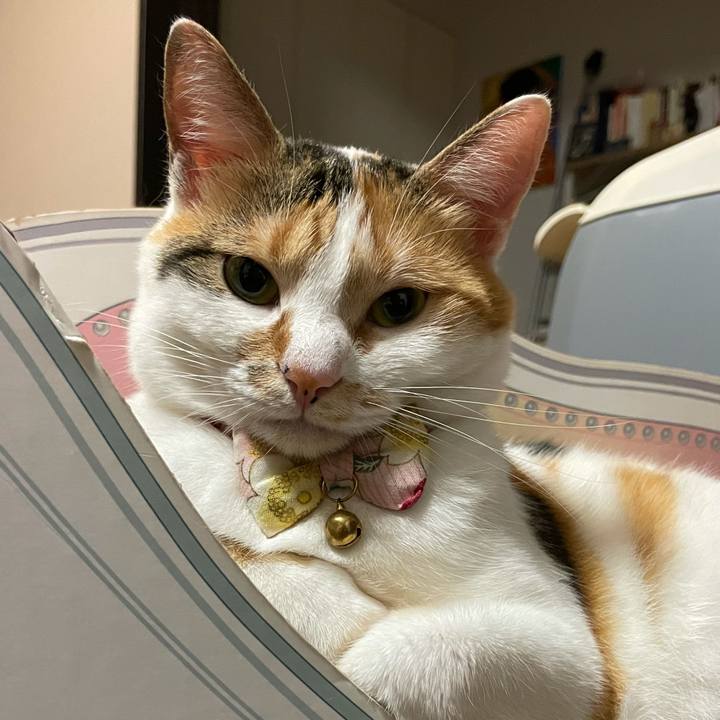 39c27f6c a412 4bf4 be65 7a1b94e47f53 1626958264508