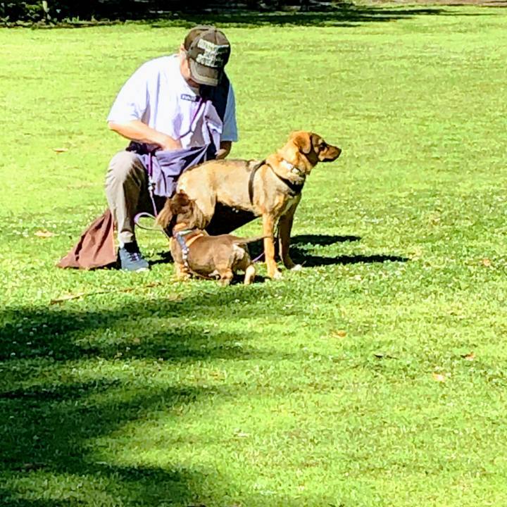 39c2dbaf 0a84 4070 ad9a de136908e200 1685838335965