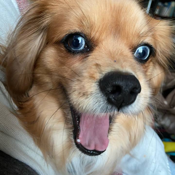 39c2fe91 1acb 47bf 8619 62a04bc1141f 1581287774899