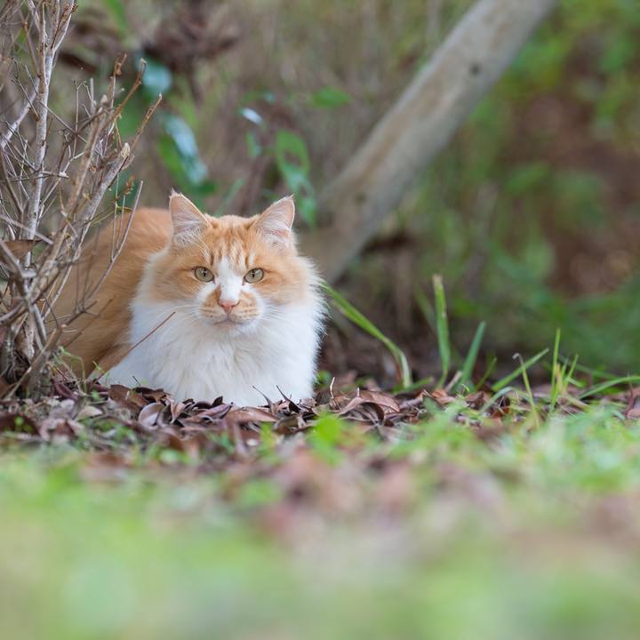 39c2ffd3 f725 44d9 b256 09a7bac221d3 1543030844792