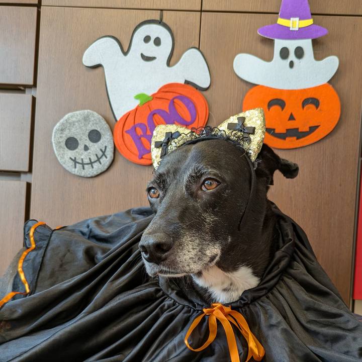 39c327a3 e2e7 4b10 b35c 173904cd12ab 1729919922295