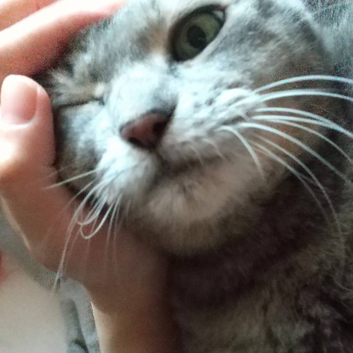 39c32c05 690d 4a79 b650 1f1db0d547eb 1634191938868