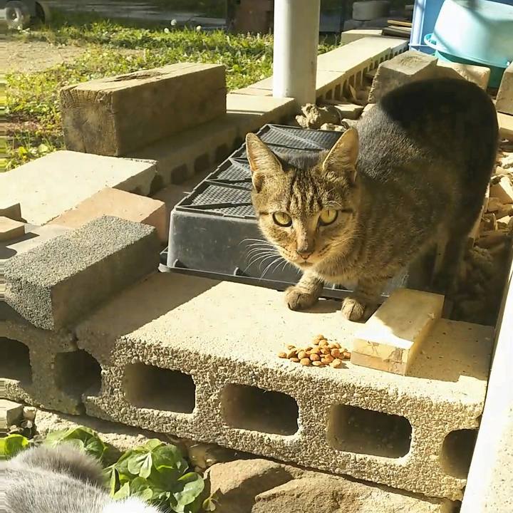 39c35710 2106 4d0d 94aa fdb2ebd73b14 1512302961417