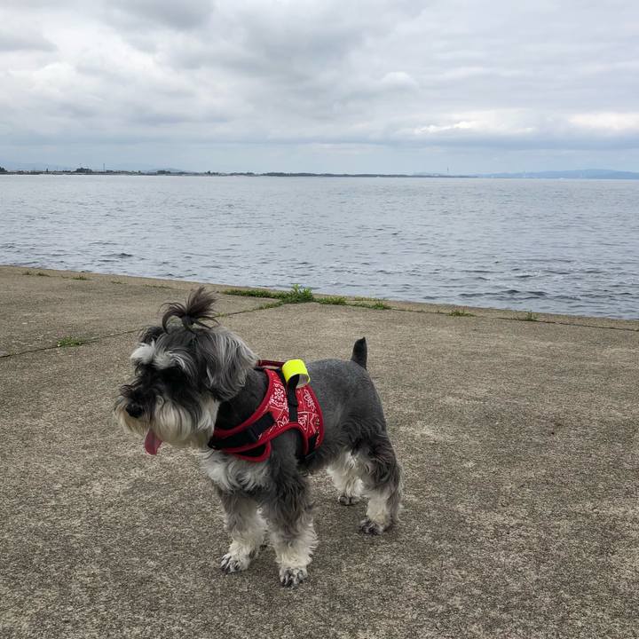 39c35900 4ef1 4554 bee8 76f2533fd5d5 1529148770091