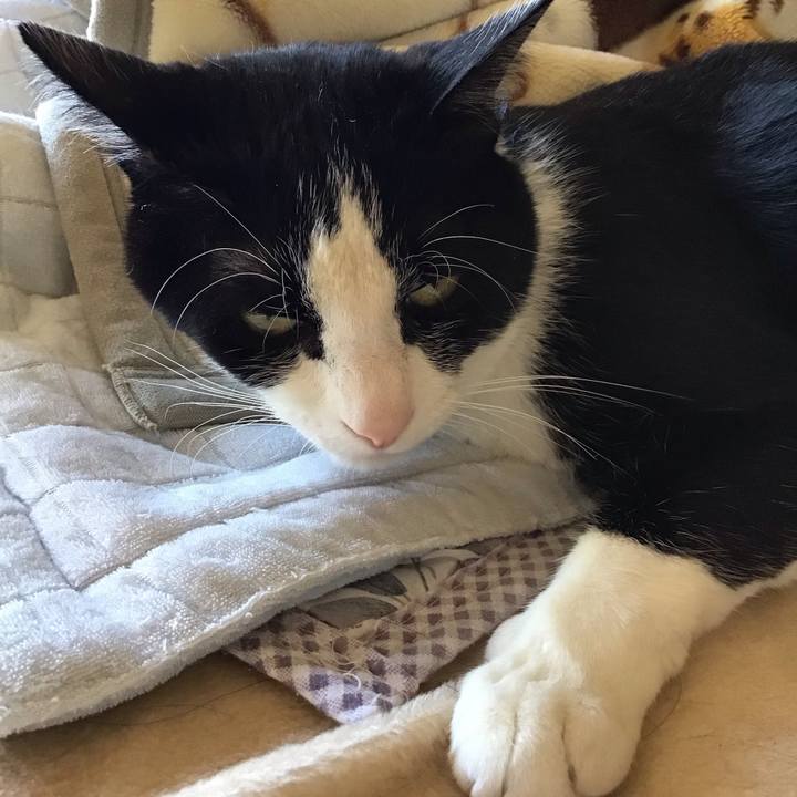 39c4148e bd2c 4fae b366 e2a6c928de39 1745909878394