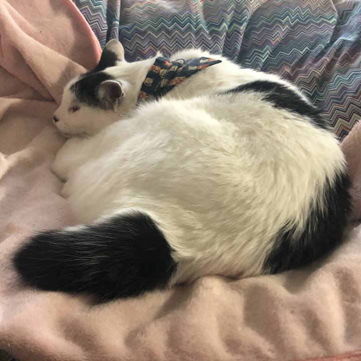 39c430a0 ceb2 48eb 8162 718a806cc8f7 1572305693467