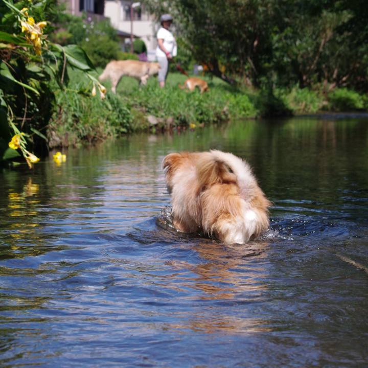 39c480da 0420 4bfa 9720 4f701ed53ba3 1567953250669