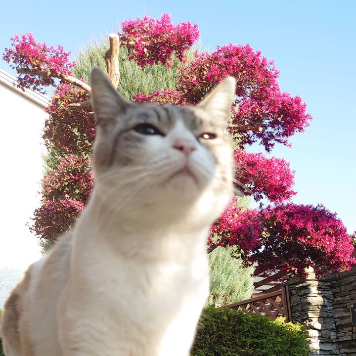 39c49e17 1c84 4c87 a791 1cf35278a381 1648973246331