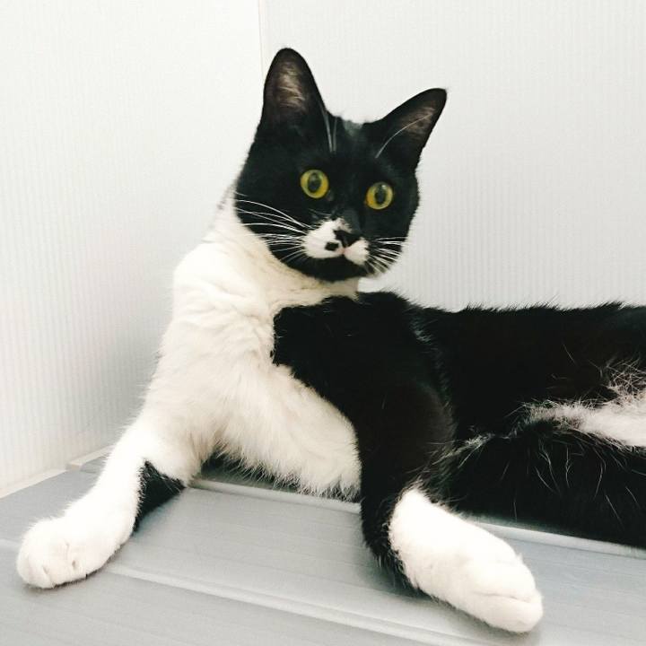 39c4b884 1cef 4848 a9af b7b9132f242d 1527776208805