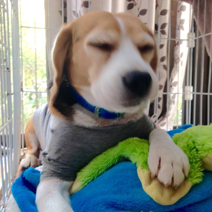 39c4e265 e936 49e0 8856 7dd49b593dbf 1731368944321