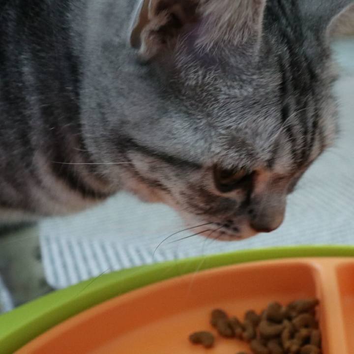 39c528b4 c491 4da9 b938 041aae6ad54e 1584787736441