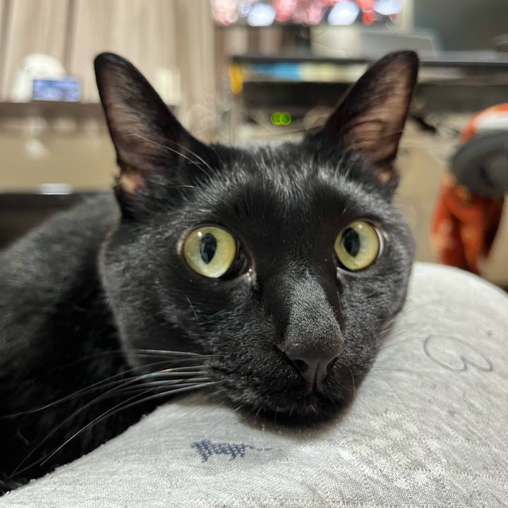 39c565db 7be8 4ecf 8381 449b40f85678 1711806055191