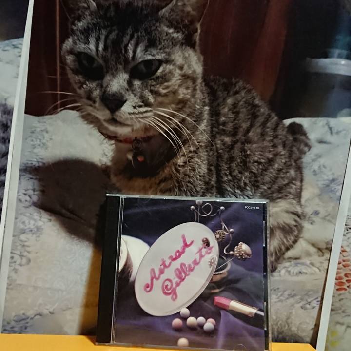 39c59627 d077 4b69 9543 7bbdf7e2c416 1615203145398