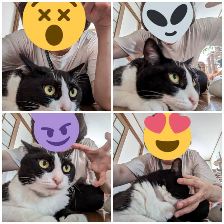 39c5acf7 048e 4bf3 9d5b 6298ab0f7ea2 1688871746461