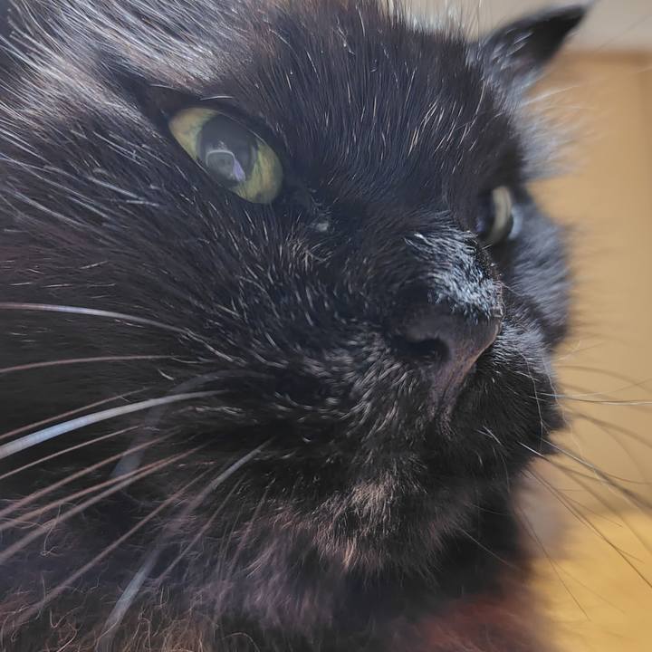 39c5b68a 4d52 4601 9e22 6ade619b9c73 1743680142786