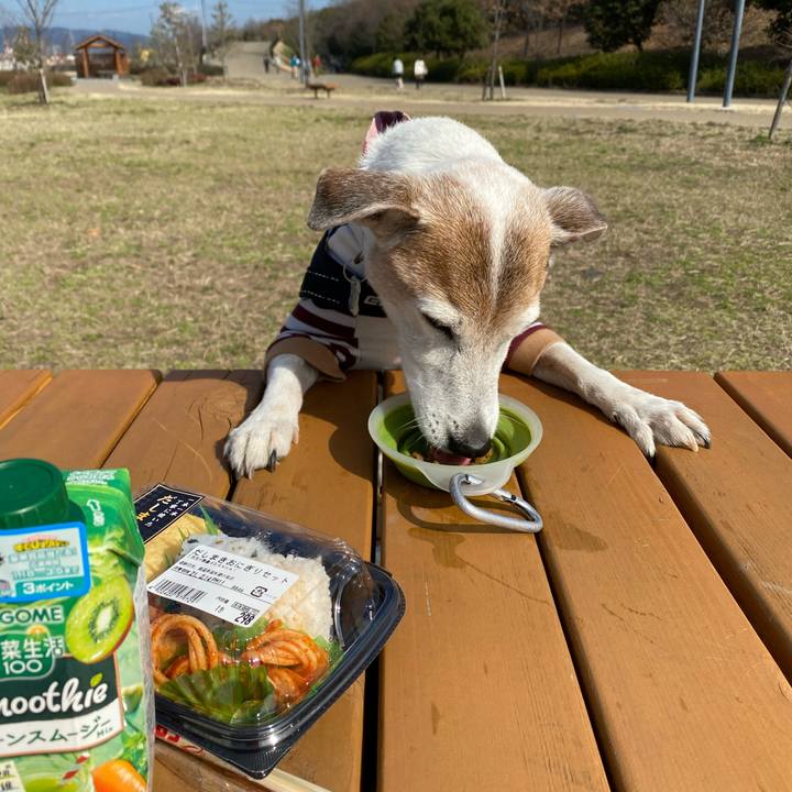 39c5c2fc 3f5f 4dfb ae43 3d10dffd47bf 1613299813220