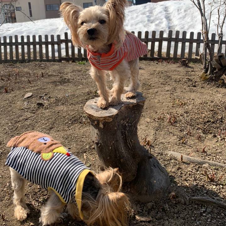 39c5c5d3 64d8 4221 9f05 e439cf1cddc0 1618306112610